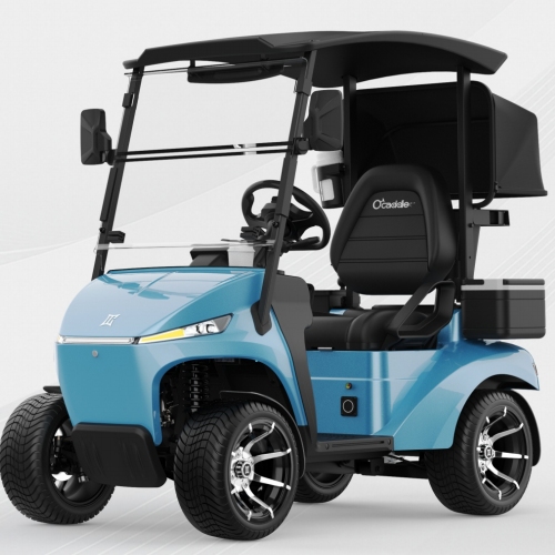 Kendaraan multifungsi kompak legal jalanan baterai lithium 48V - kereta golf listrik satu kursi